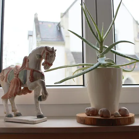 Tor Zum Bodensee Apartman Stockach